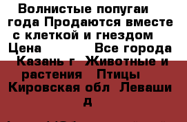 Волнистые попугаи, 2 года.Продаются вместе с клеткой и гнездом. › Цена ­ 2 800 - Все города, Казань г. Животные и растения » Птицы   . Кировская обл.,Леваши д.